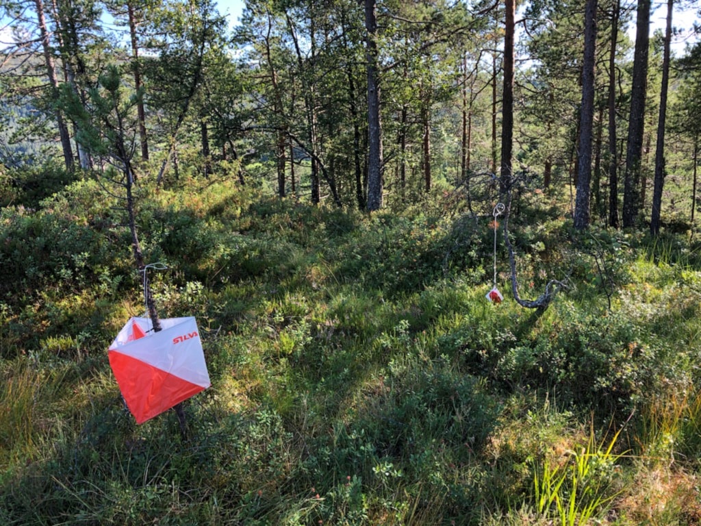 Nærløp Langeland skisenter 24.8.